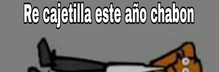 flor_kiwi's profile banner image