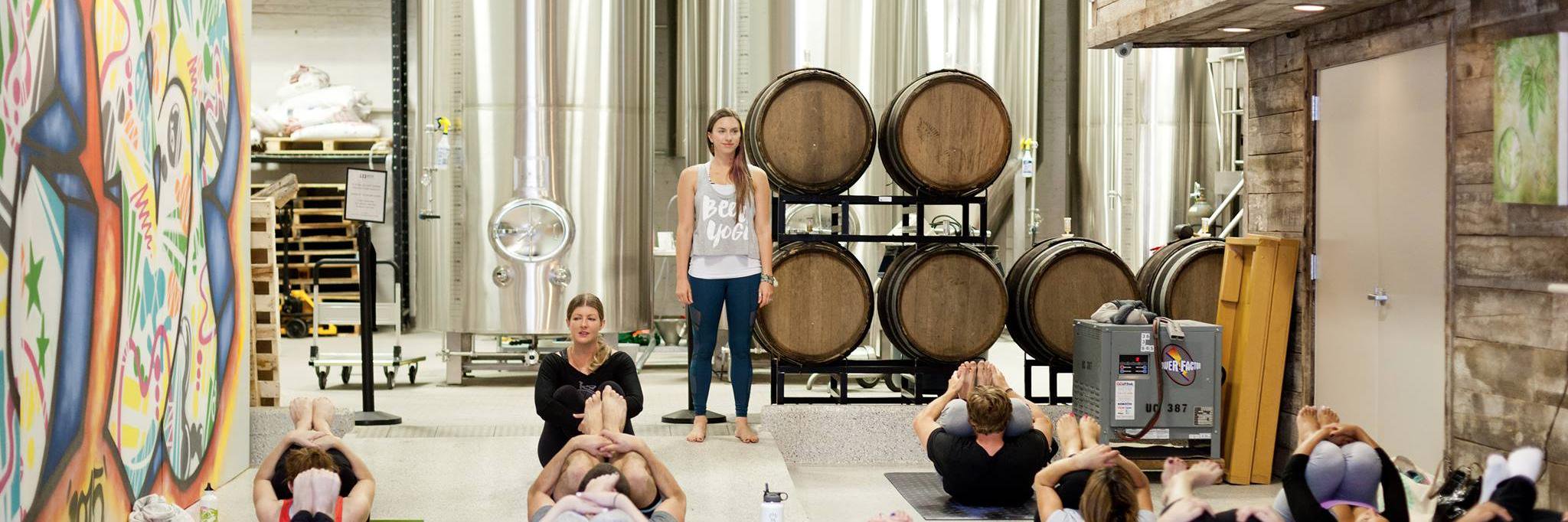 thebeeryogis's profile banner image