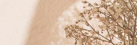 jiyeonslut's profile banner image