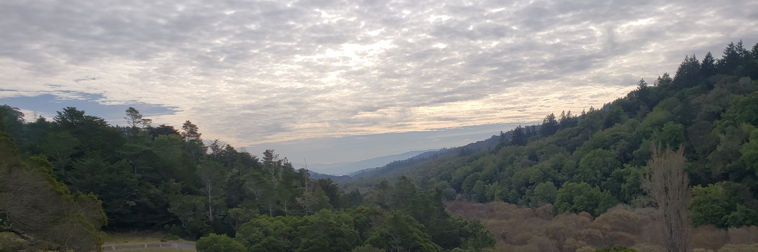 EdwardYapMD's profile banner image