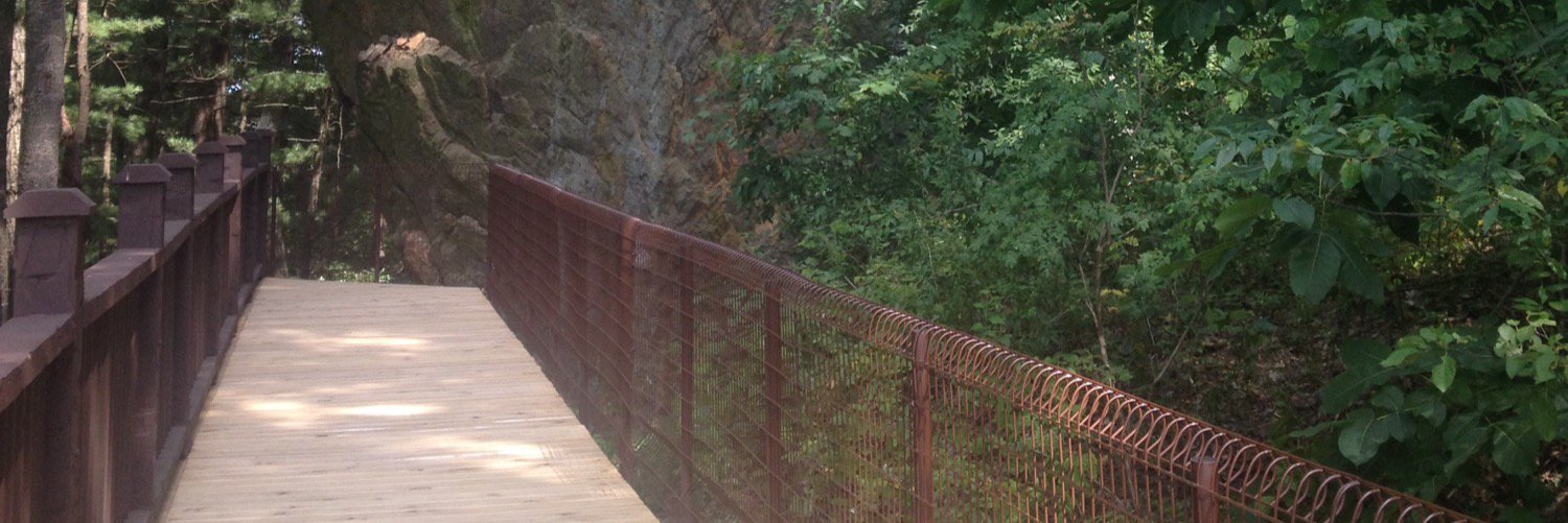 Pokémon Breeder Mal would like to battle! banner