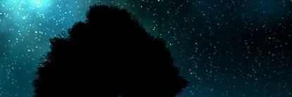 chis0607's profile banner image