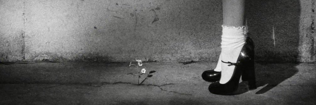 Alanisxdn's profile banner image