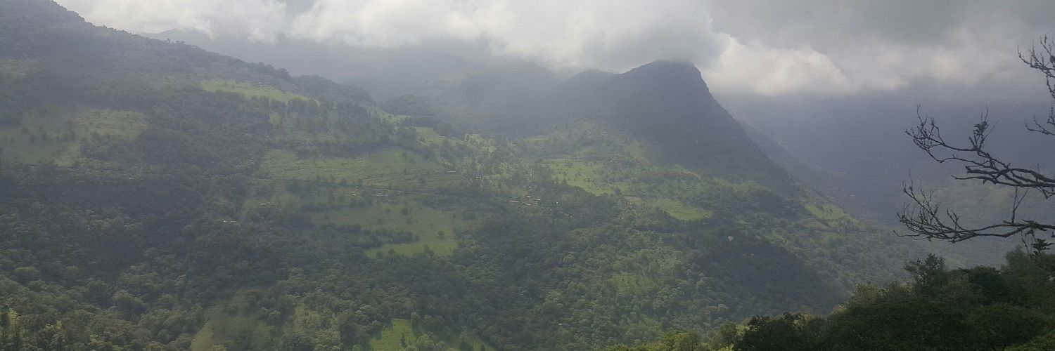 javiyrp's profile banner image