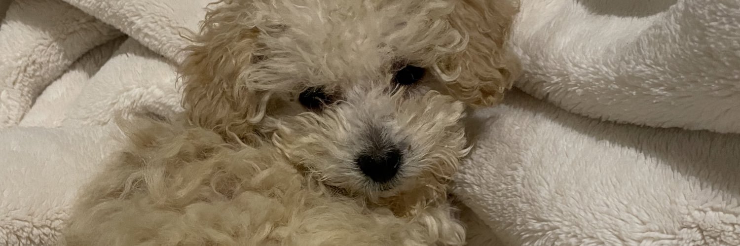 kewtishhh's profile banner image