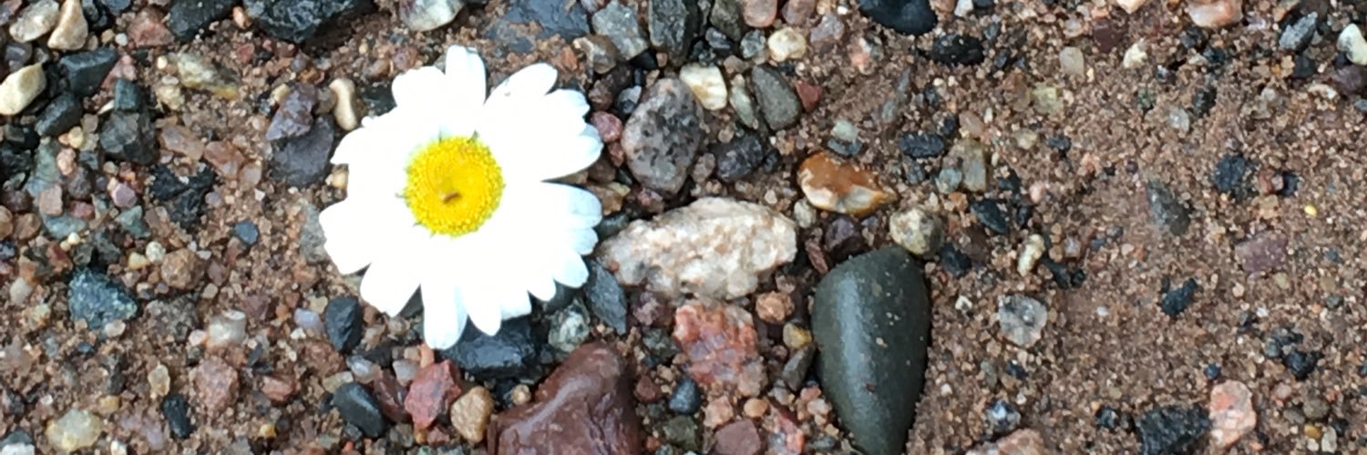 JamieCable's profile banner image
