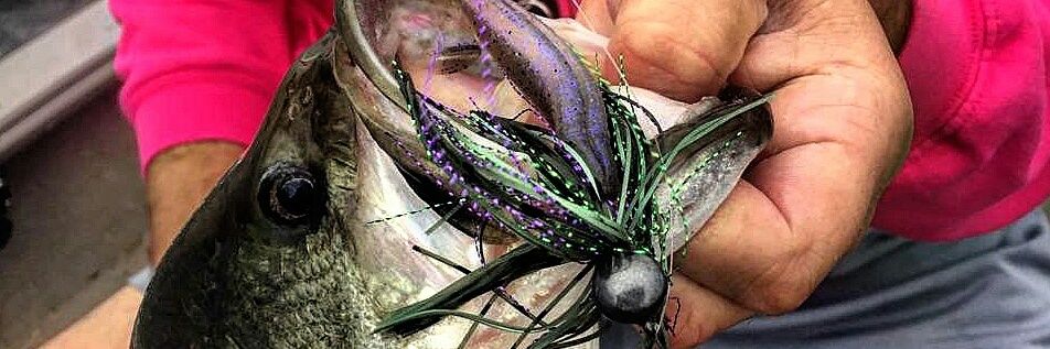 burkesbaits's profile banner image