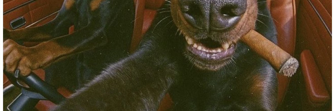 AdamClark31's profile banner image