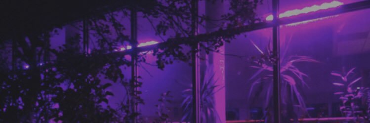 arishae6's profile banner image