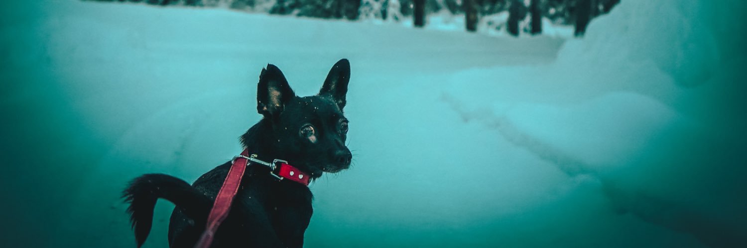 ☻ banner
