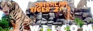 difalicka's profile banner image