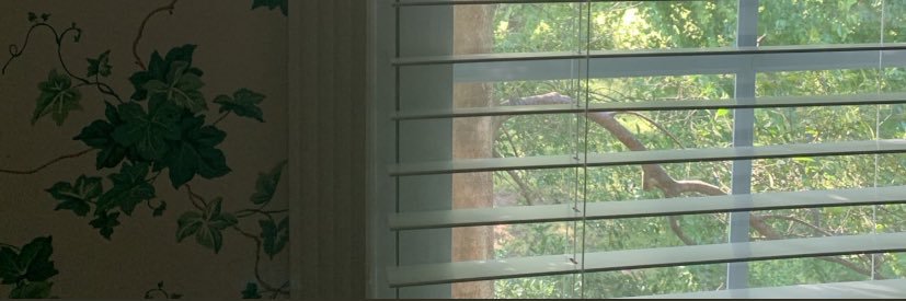 indicasav's profile banner image