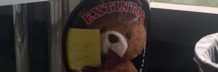 allysonrojas15's profile banner image