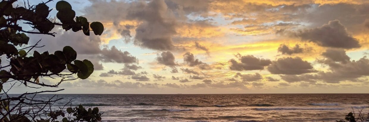 B2P 🐕‍🦺🌊🚵🐳💙✌🏻❤️🎶🩺 banner