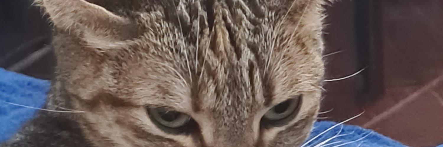 agustinavila1's profile banner image