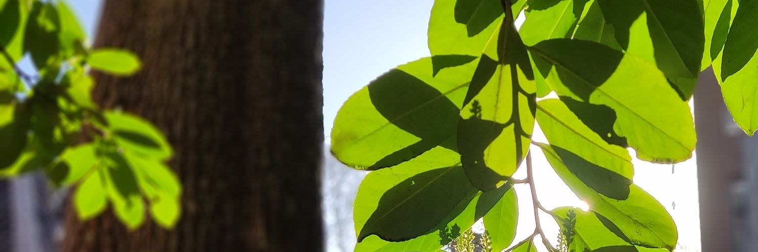 just_seeing_'s profile banner image