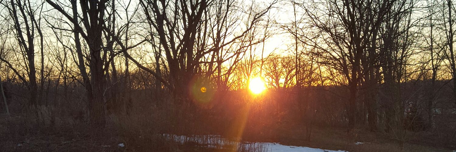 Gello79's profile banner image