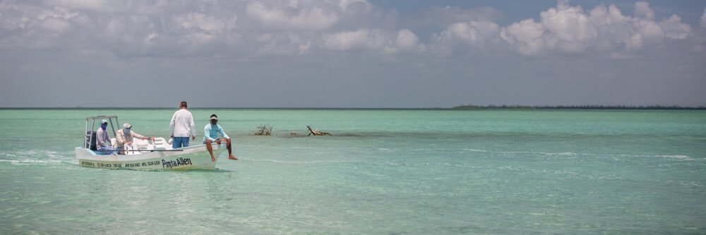 PalometaClub's profile banner image