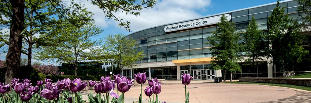 College of DuPage Alumni's banner