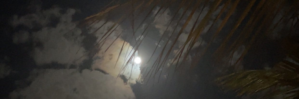 lllie_s's profile banner image