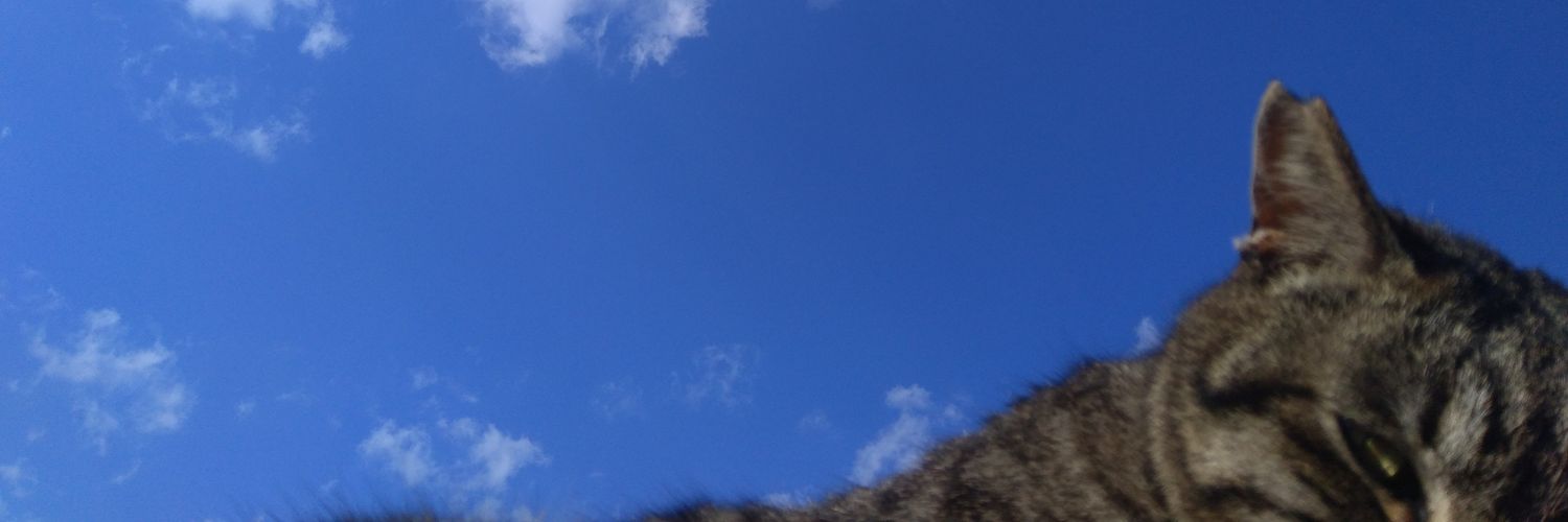 shimo_sheep's profile banner image
