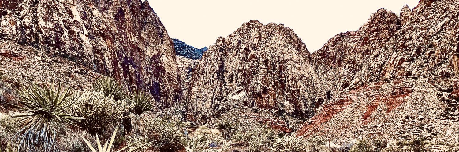 davidgibbonslv's profile banner image