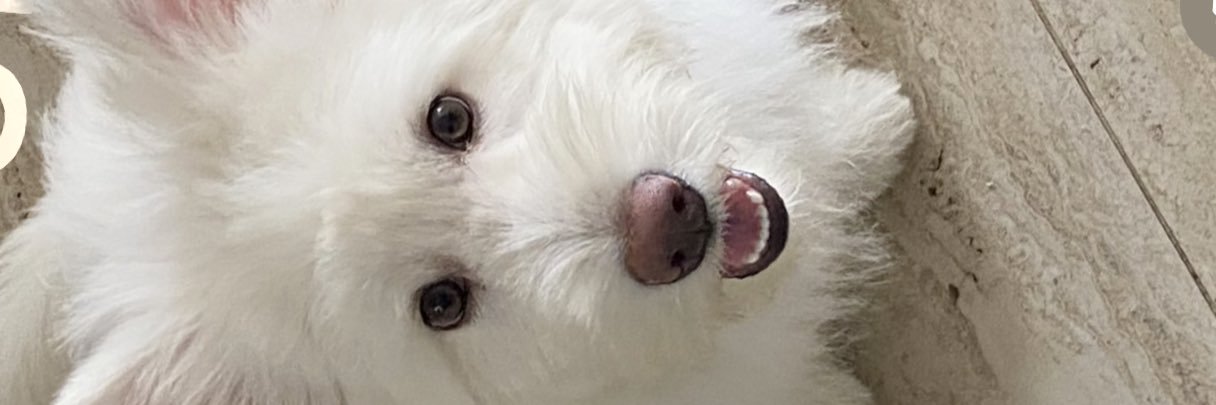 UntalAlexD's profile banner image