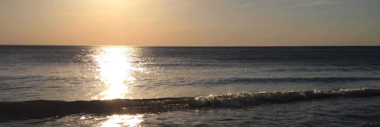 kelcarl1's profile banner image