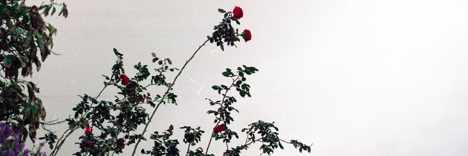 LVNXE's profile banner image