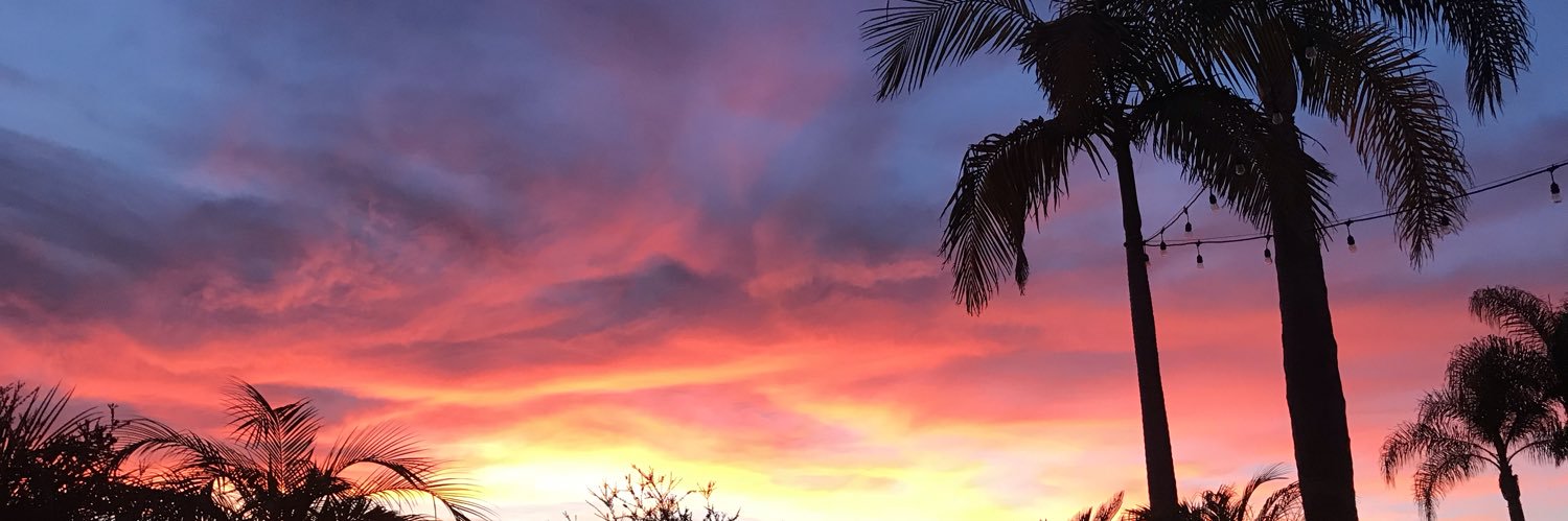 SarahMathewsSD's profile banner image