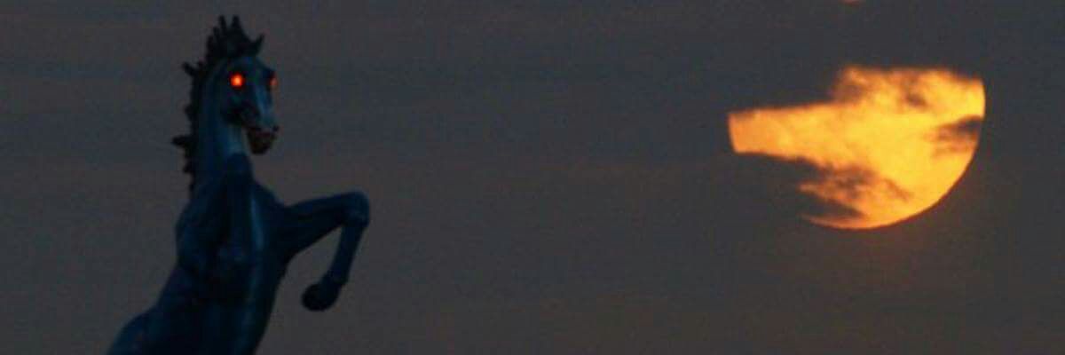 AfmanMegan's profile banner image