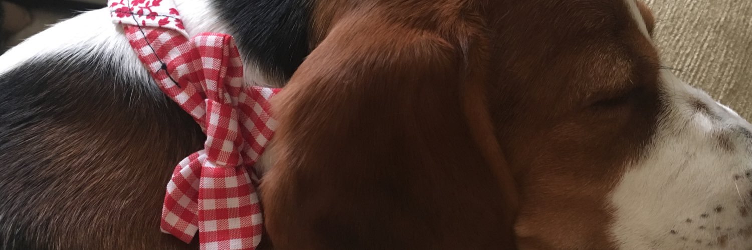 SusanaaGS's profile banner image