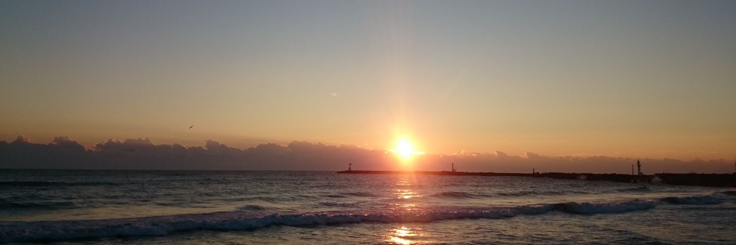 808tAloha's profile banner image