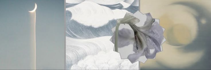 (•˕ •マ.ᐟ banner