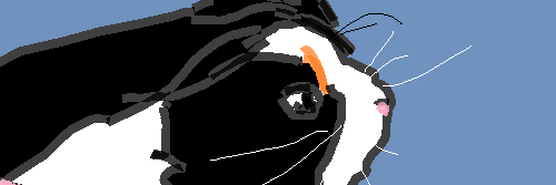 generaltsotter's profile banner image