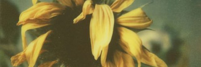 MammaAmor's profile banner image