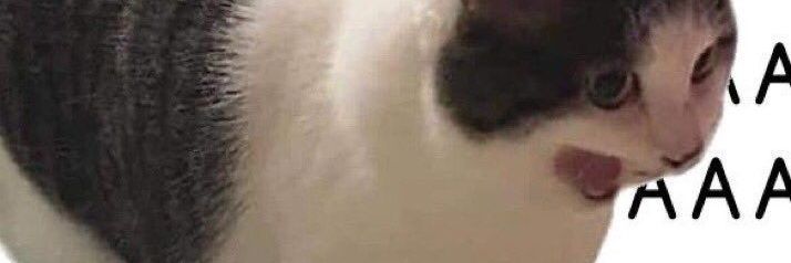 Cristi banner