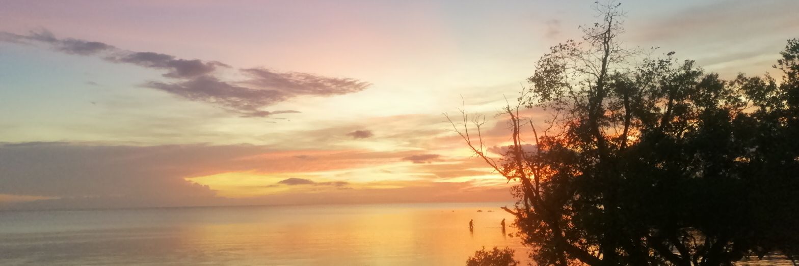 Mimi_Pasamba's profile banner image