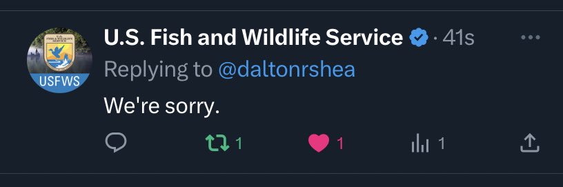 dalton shea banner