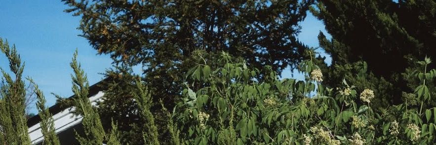 ͏͏ ͏͏ banner