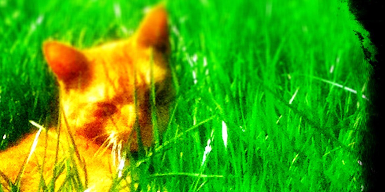 fatboysyd's profile banner image