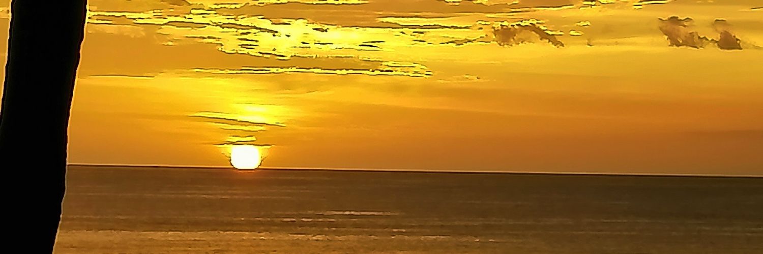 erickanuva's profile banner image