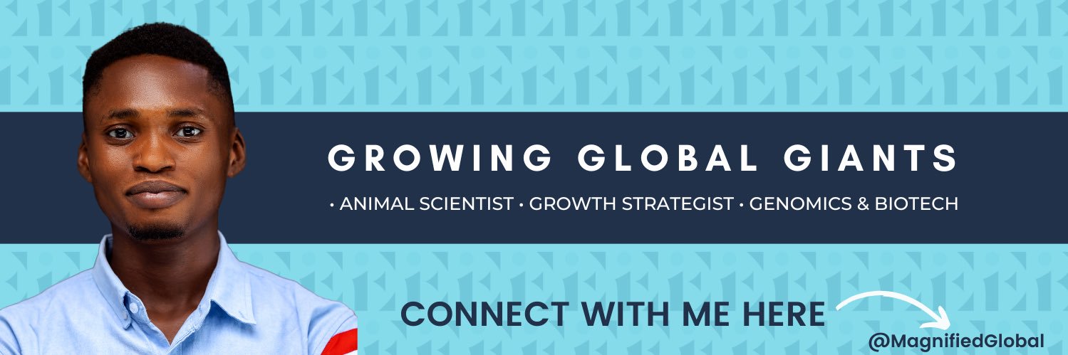 Emmanuel Ismaila banner