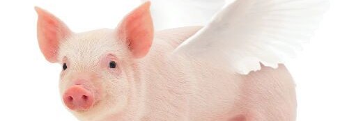 Calibanos... Viejo sabroso. banner