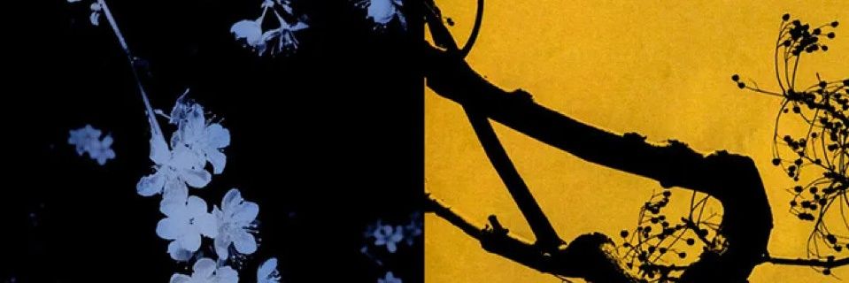 frederic.louchart banner