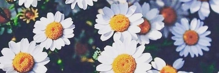 Curvy_Mbee's profile banner image