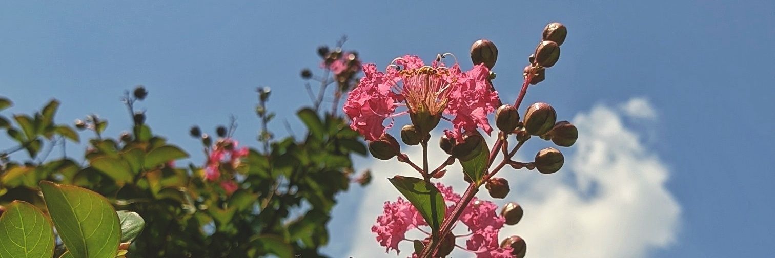 prrc_'s profile banner image