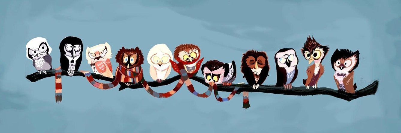 quinnbusby's profile banner image