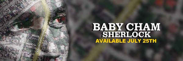 TheCham Profile Banner
