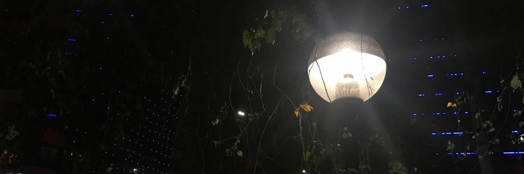 darya_reich's profile banner image